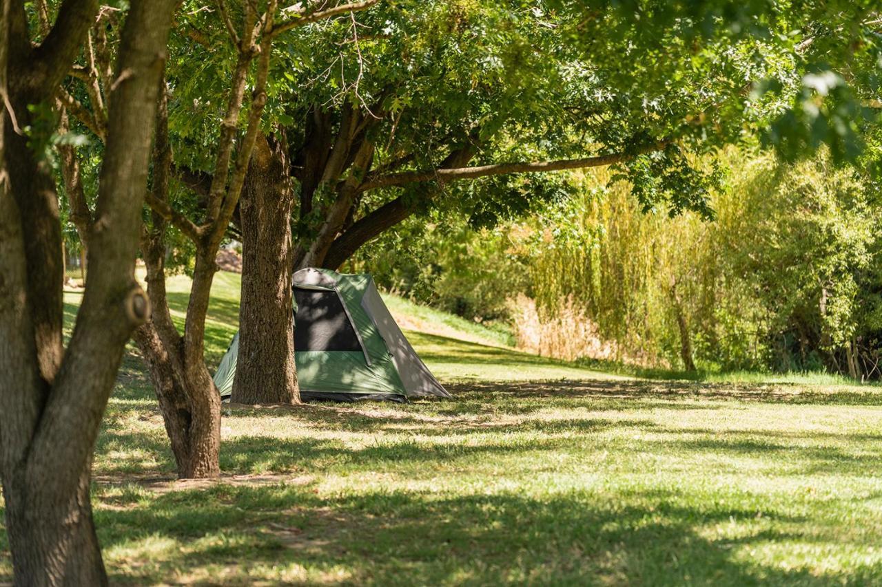 Gundagai Cabins & Tourist Park Buitenkant foto