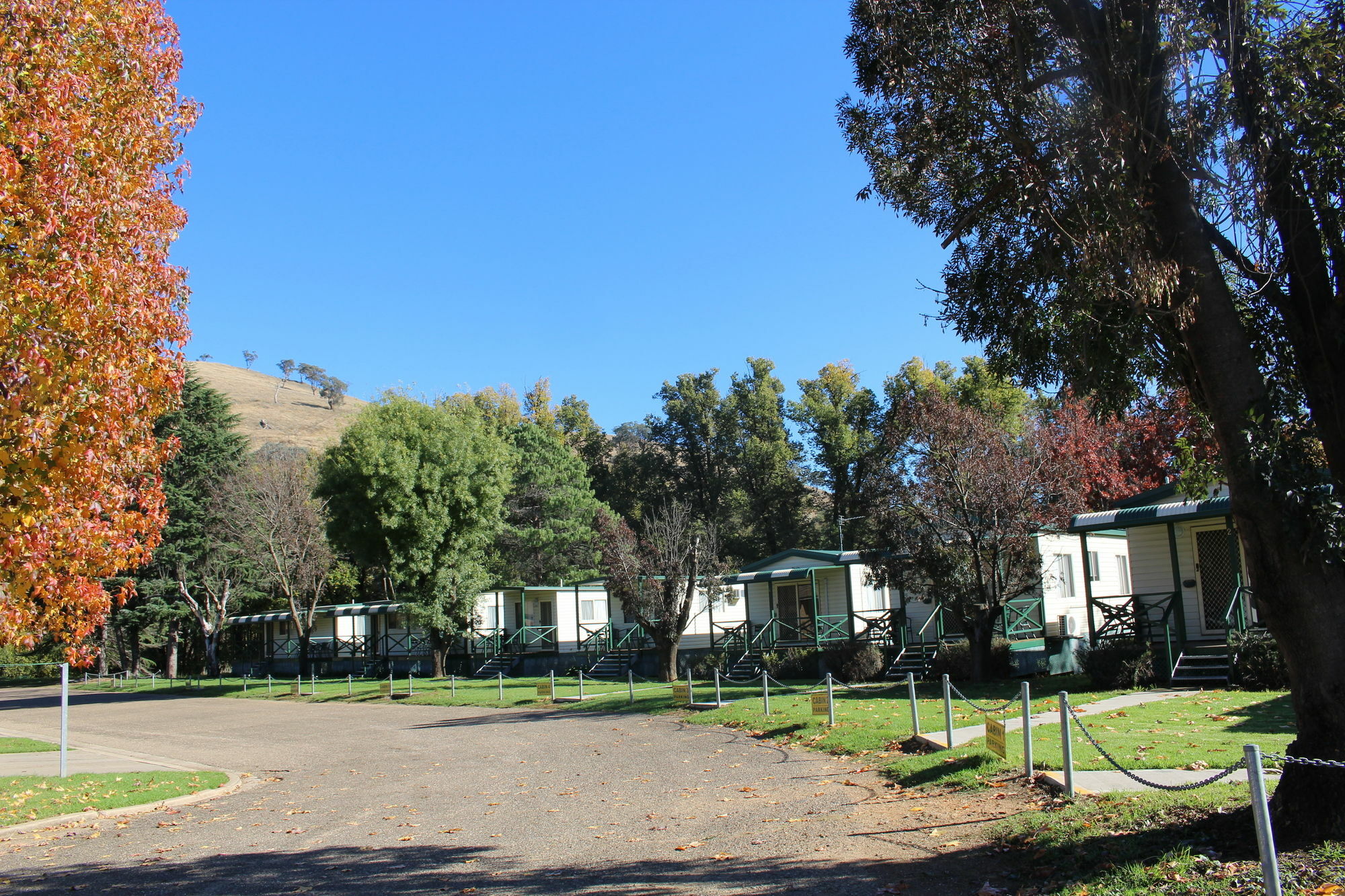 Gundagai Cabins & Tourist Park Buitenkant foto