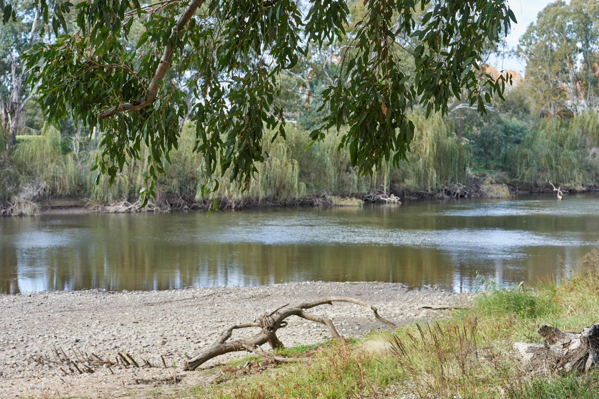 Gundagai Cabins & Tourist Park Buitenkant foto